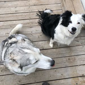 Meet your Posher, Kristopher